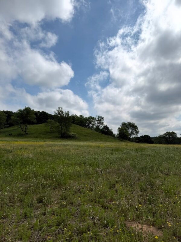 Lot 2 County Rd F, Boyceville WI 54725 - Land house for sale - MLS #1601758 - image8