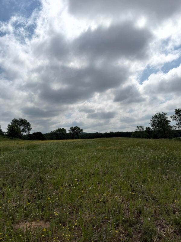 Lot 2 County Rd F, Boyceville WI 54725 - Land house for sale - MLS #1601758 - image9