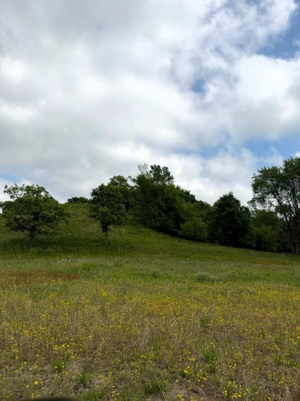 Lot 2 County Rd F, Boyceville WI 54725 - Land house for sale - MLS #1601758 - image10