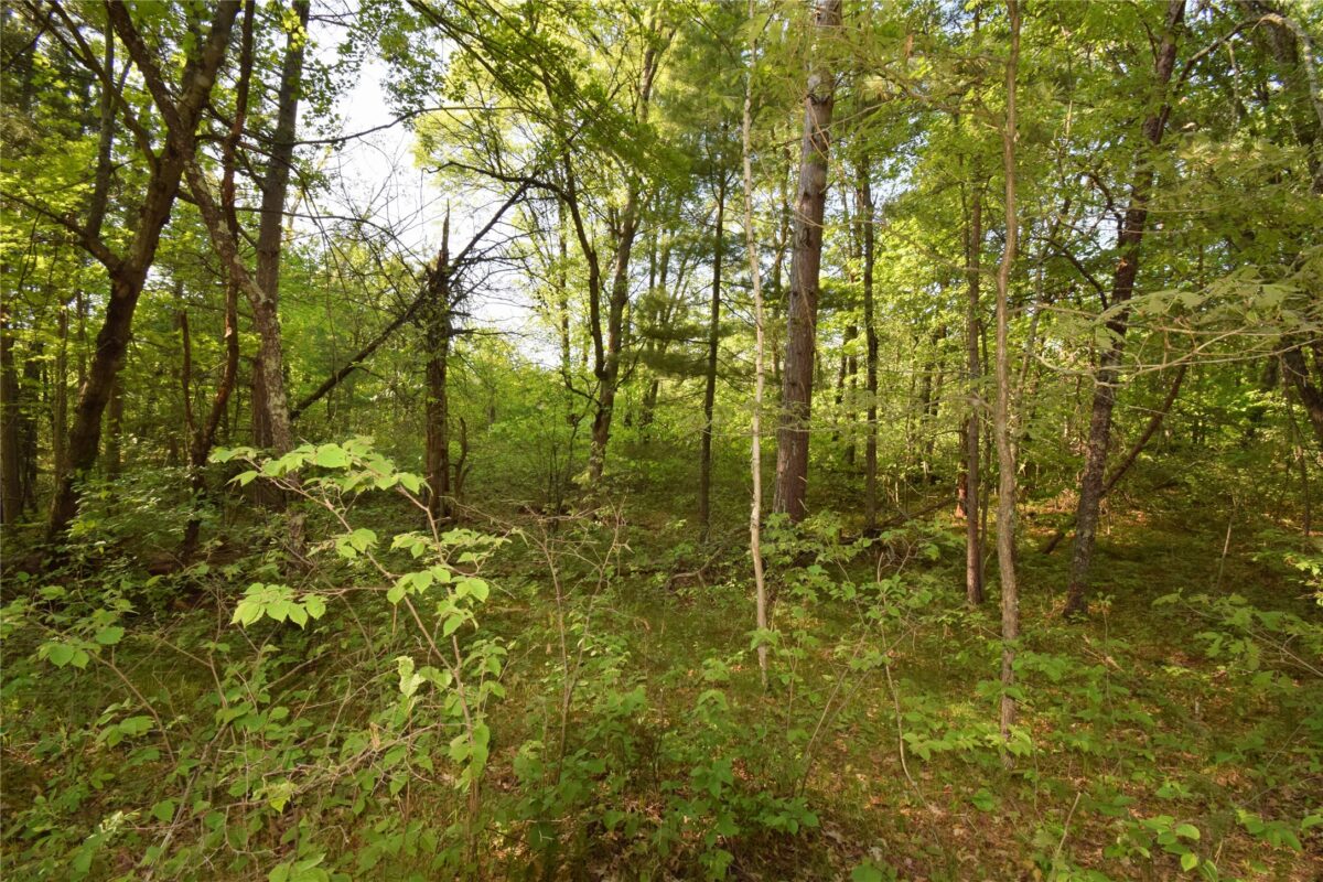 Lot 31 Setting Sun Trail Way, Danbury WI 54830 - Land house for sale - MLS #1601782 - image13