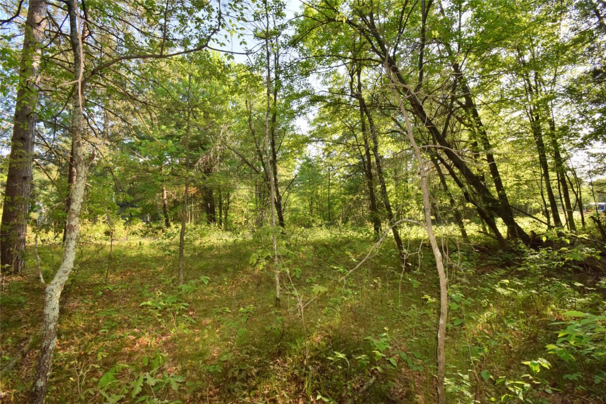 Lot 31 Setting Sun Trail Way, Danbury WI 54830 - Land house for sale - MLS #1601782 - image18