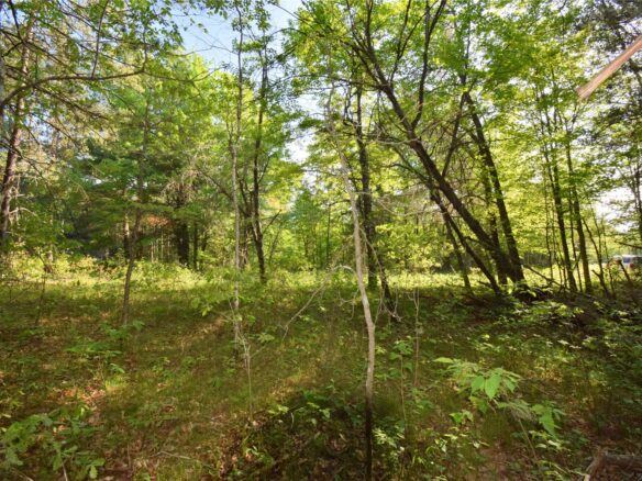 Lot 31 Setting Sun Trail Way, Danbury WI 54830 - Land house for sale - MLS #1601782 - image1