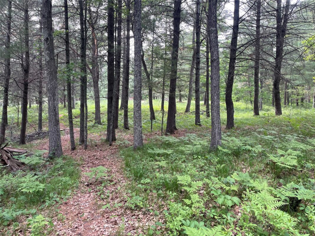 Lot 4 Big Bear Court, Danbury WI 54830 - Land house for sale - MLS #1602675 - image2