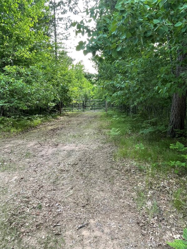 Lot 4 Big Bear Court, Danbury WI 54830 - Land house for sale - MLS #1602675 - image3