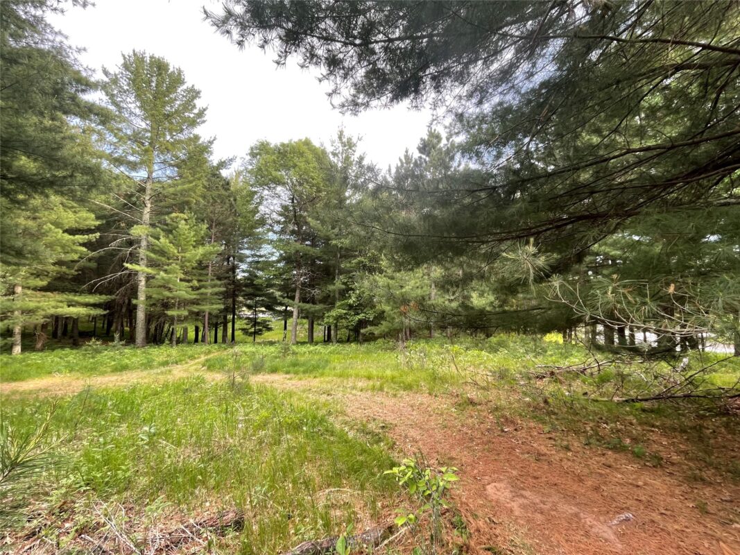 Lot 4 Big Bear Court, Danbury WI 54830 - Land house for sale - MLS #1602675 - image4