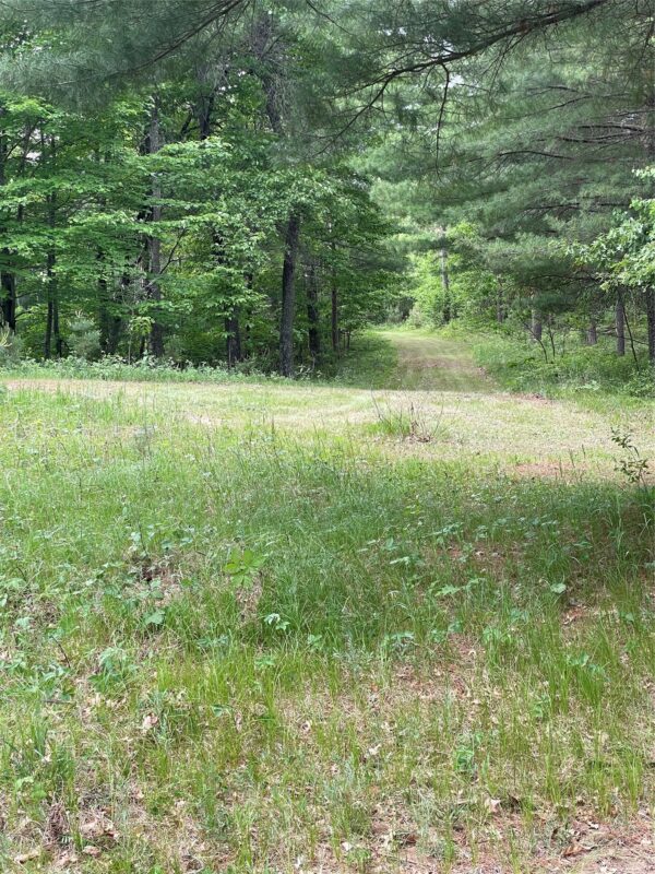 Lot 4 Big Bear Court, Danbury WI 54830 - Land house for sale - MLS #1602675 - image5