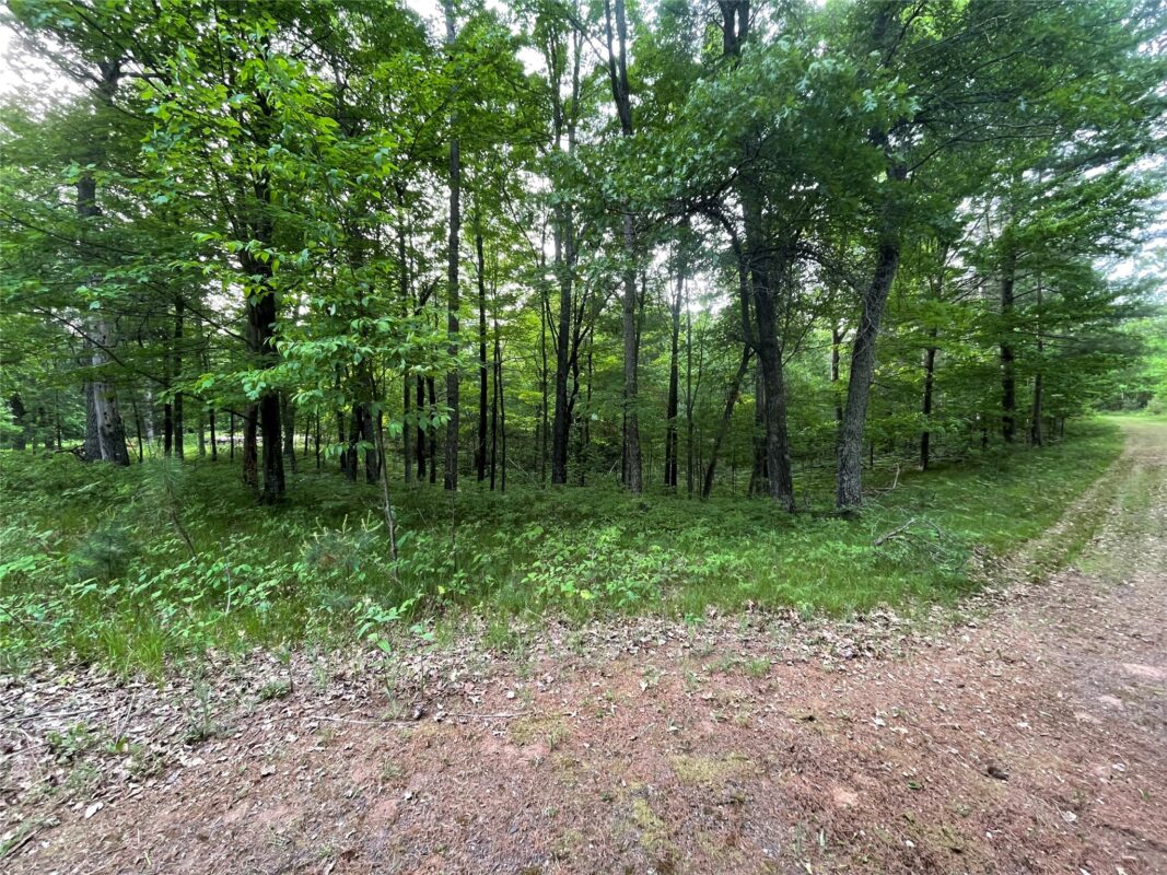 Lot 4 Big Bear Court, Danbury WI 54830 - Land house for sale - MLS #1602675 - image6
