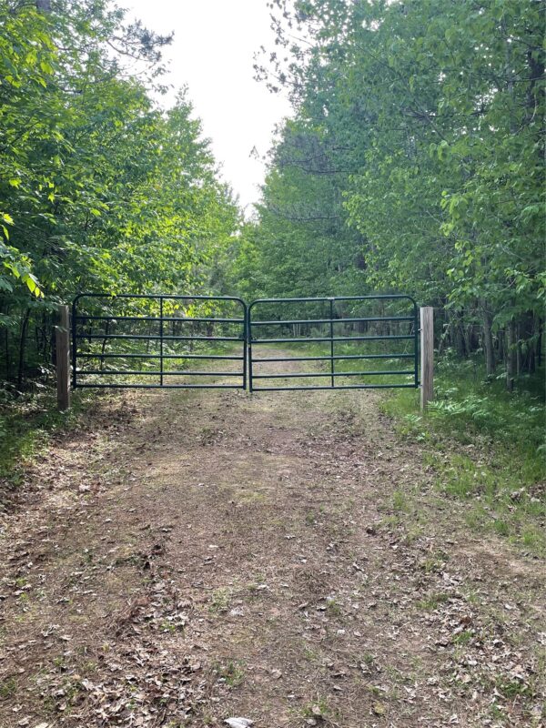 Lot 4 Big Bear Court, Danbury WI 54830 - Land house for sale - MLS #1602675 - image7