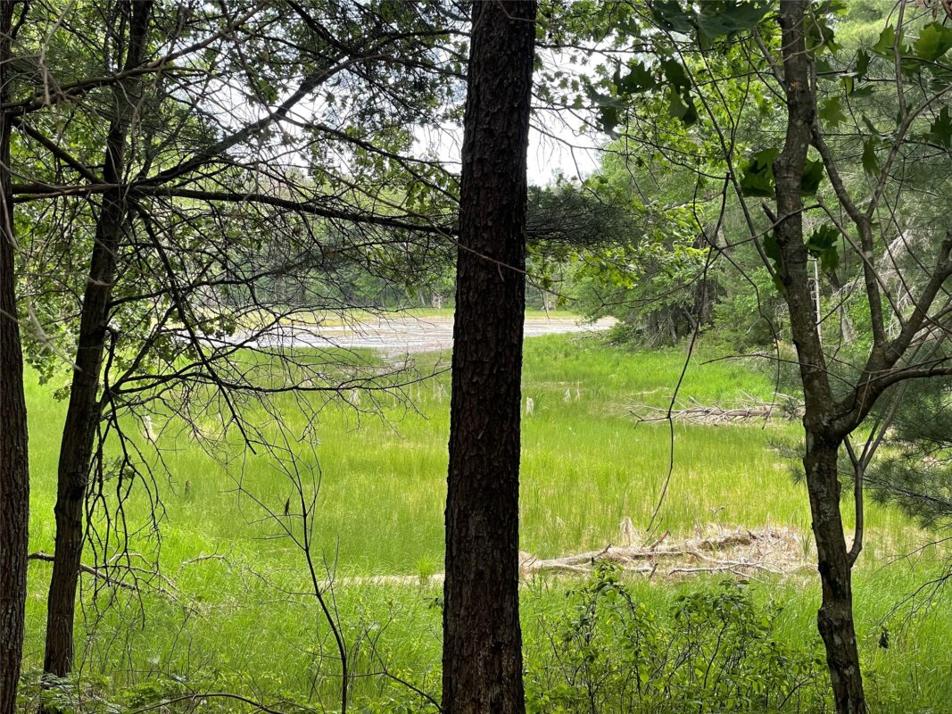 Lot 4 Big Bear Court, Danbury WI 54830 - Land house for sale - MLS #1602675 - image9