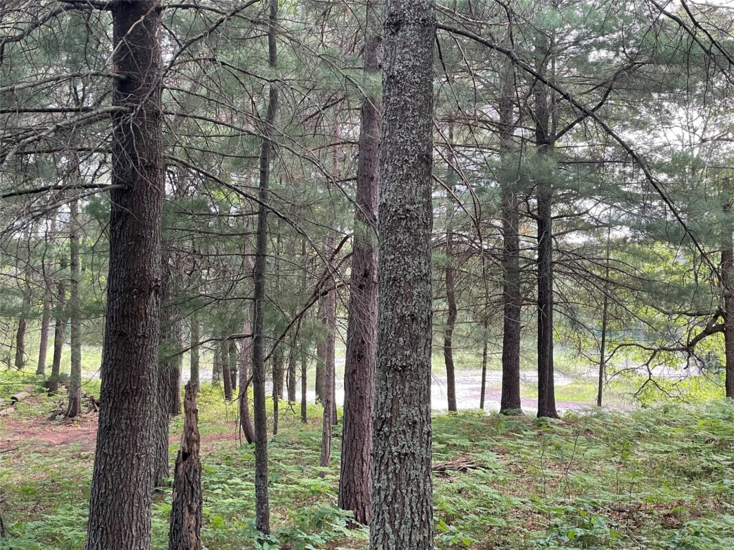 Lot 4 Big Bear Court, Danbury WI 54830 - Land house for sale - MLS #1602675 - image10