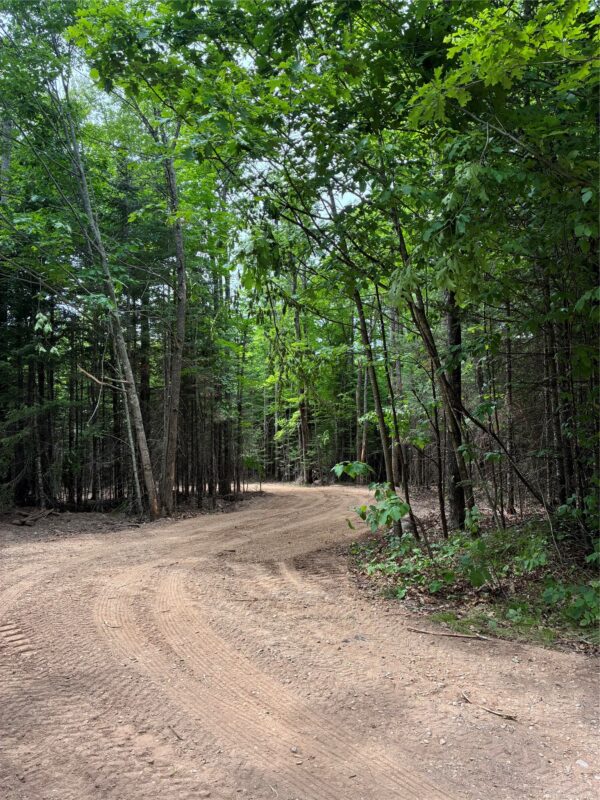 Lot 5 Uncle Toms Road, Loretta WI 54896 - Land house for sale - MLS #1602570 - image2