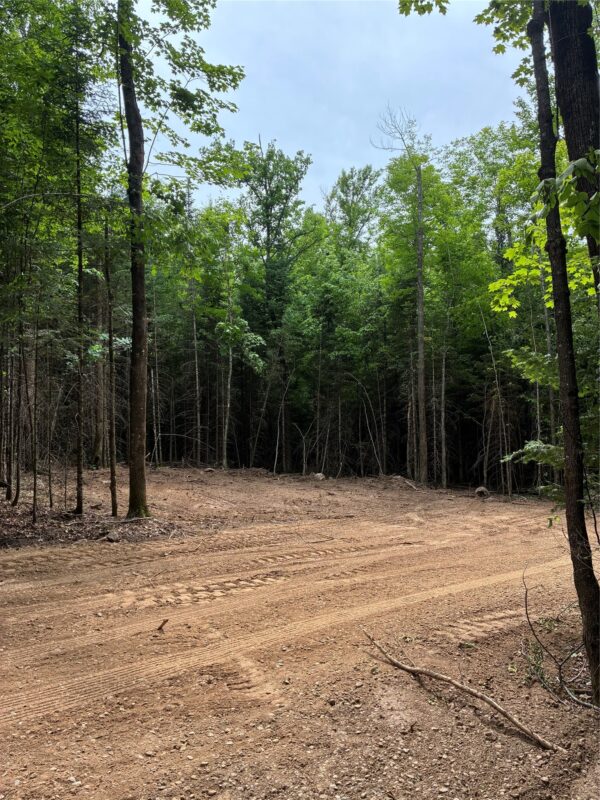 Lot 5 Uncle Toms Road, Loretta WI 54896 - Land house for sale - MLS #1602570 - image5