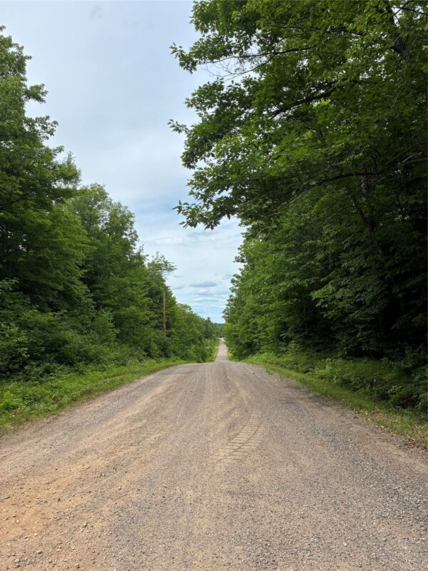 Lot 5 Uncle Toms Road, Loretta WI 54896 - Land house for sale - MLS #1602570 - image9
