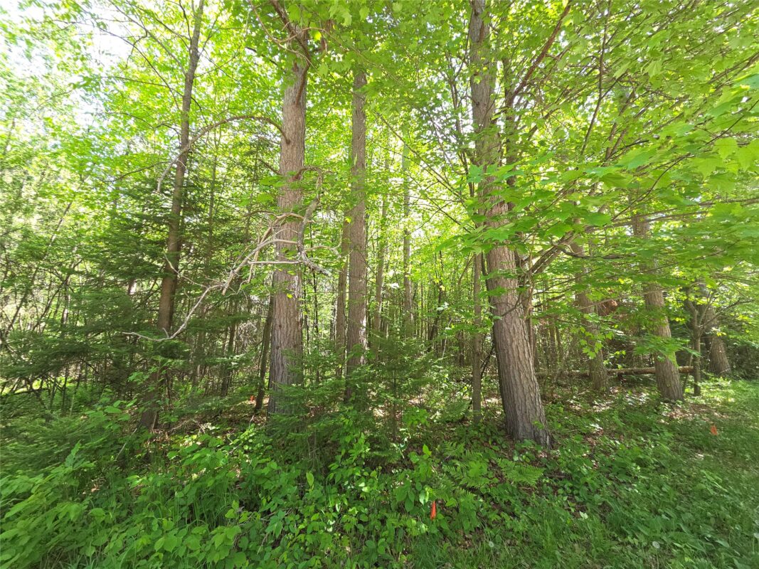 Lot 6 Solberg Lake Road, Phillips WI 54555 - Land house for sale - MLS #1601652 - image3