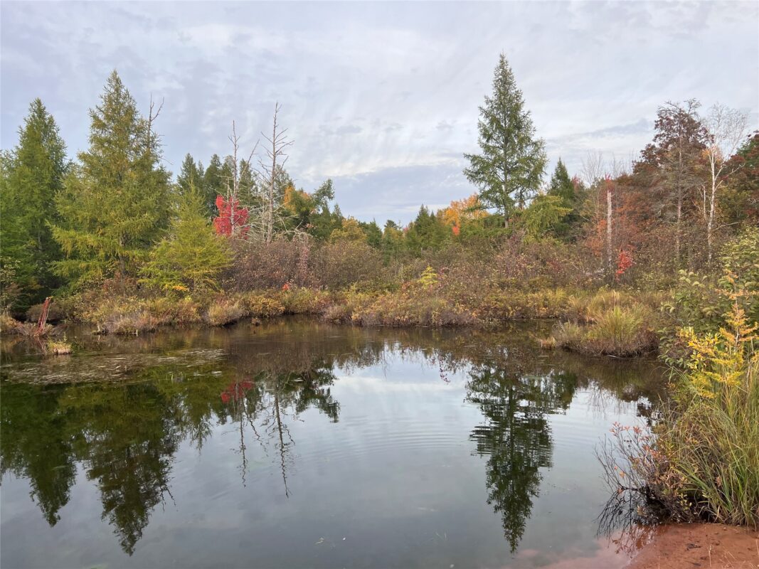 Lot 8 Secluded Lane, Gordon WI 54838 - Land house for sale - MLS #1602293 - image5
