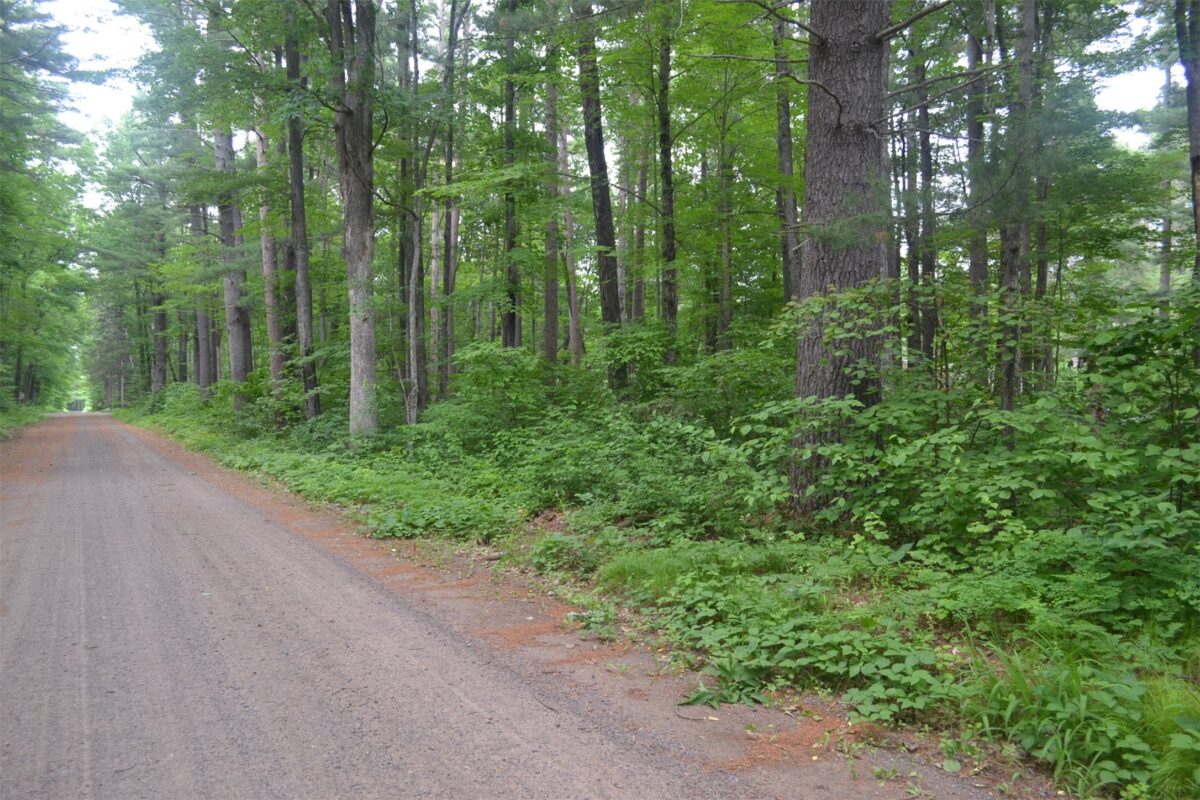 Lots 5-12 Block 16 Woodland Avenue, Hayward WI 54843 - Land house for sale - MLS #1602672 - image2