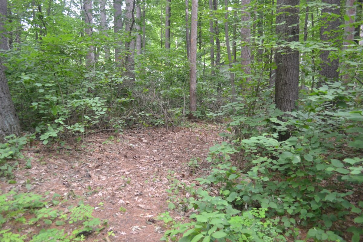 Lots 5-12 Block 16 Woodland Avenue, Hayward WI 54843 - Land house for sale - MLS #1602672 - image11