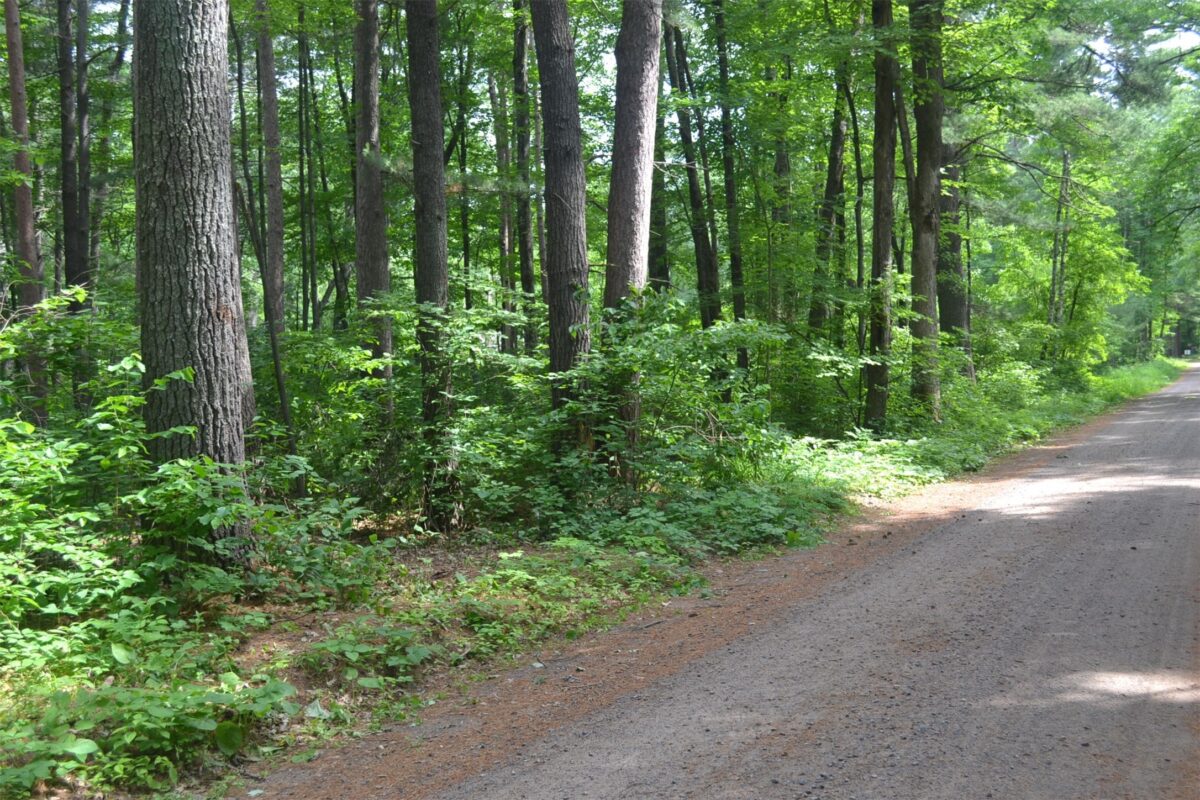 Lots 5-12 Block 16 Woodland Avenue, Hayward WI 54843 - Land house for sale - MLS #1602672 - image3