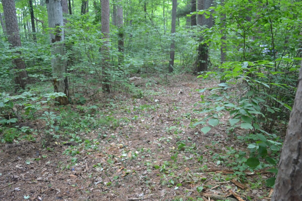 Lots 5-12 Block 16 Woodland Avenue, Hayward WI 54843 - Land house for sale - MLS #1602672 - image5