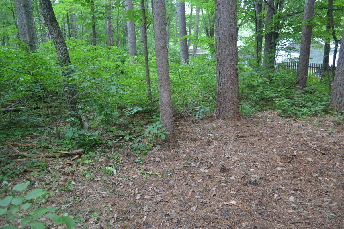 Lots 5-12 Block 16 Woodland Avenue, Hayward WI 54843 - Land house for sale - MLS #1602672 - image6