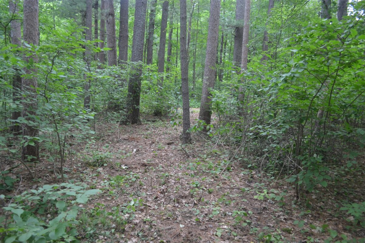 Lots 5-12 Block 16 Woodland Avenue, Hayward WI 54843 - Land house for sale - MLS #1602672 - image9