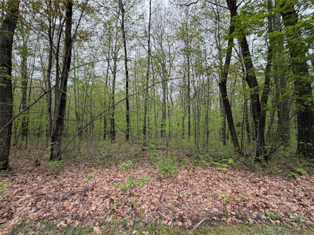 N 5543 County Highway BB, Stone Lake WI 54876 - Residential house for sale - MLS #1601238 - image21