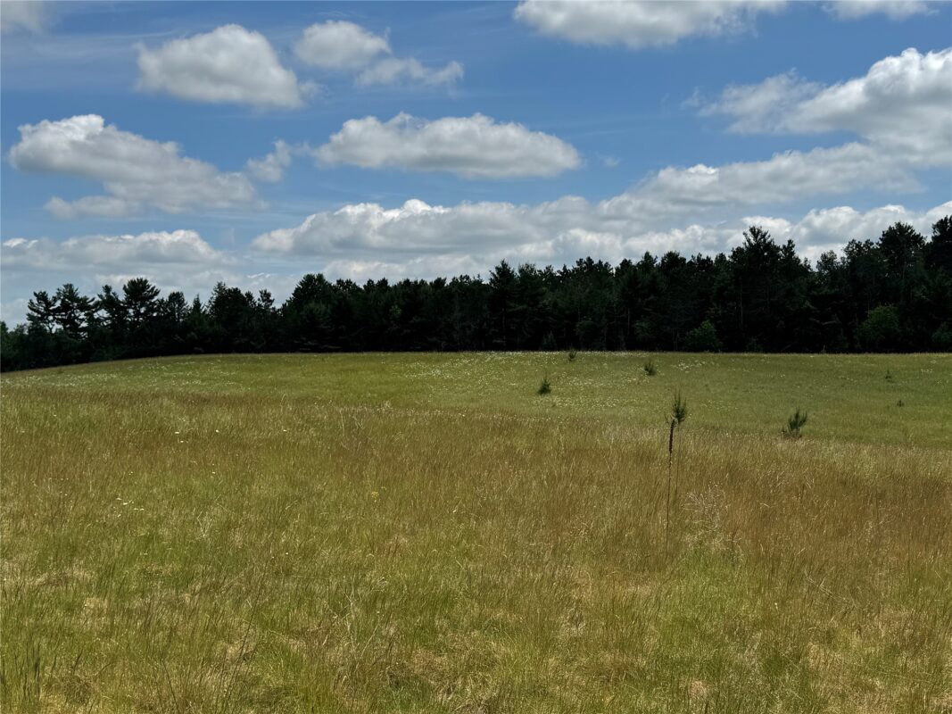 N 6398 Fred Tripp Road, Springbrook WI 54875 - Land house for sale - MLS #1602077 - image27