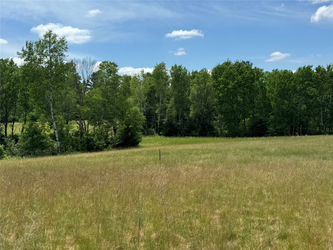 N 6398 Fred Tripp Road, Springbrook WI 54875 - Land house for sale - MLS #1602077 - image29