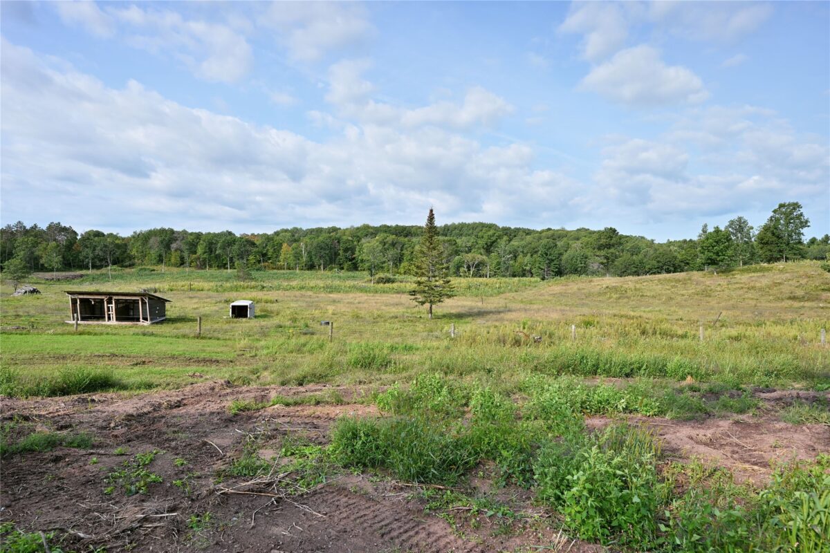 N 9171 Tripp Road, Springbrook WI 54875 - Residential house for sale - MLS #1600964 - image53