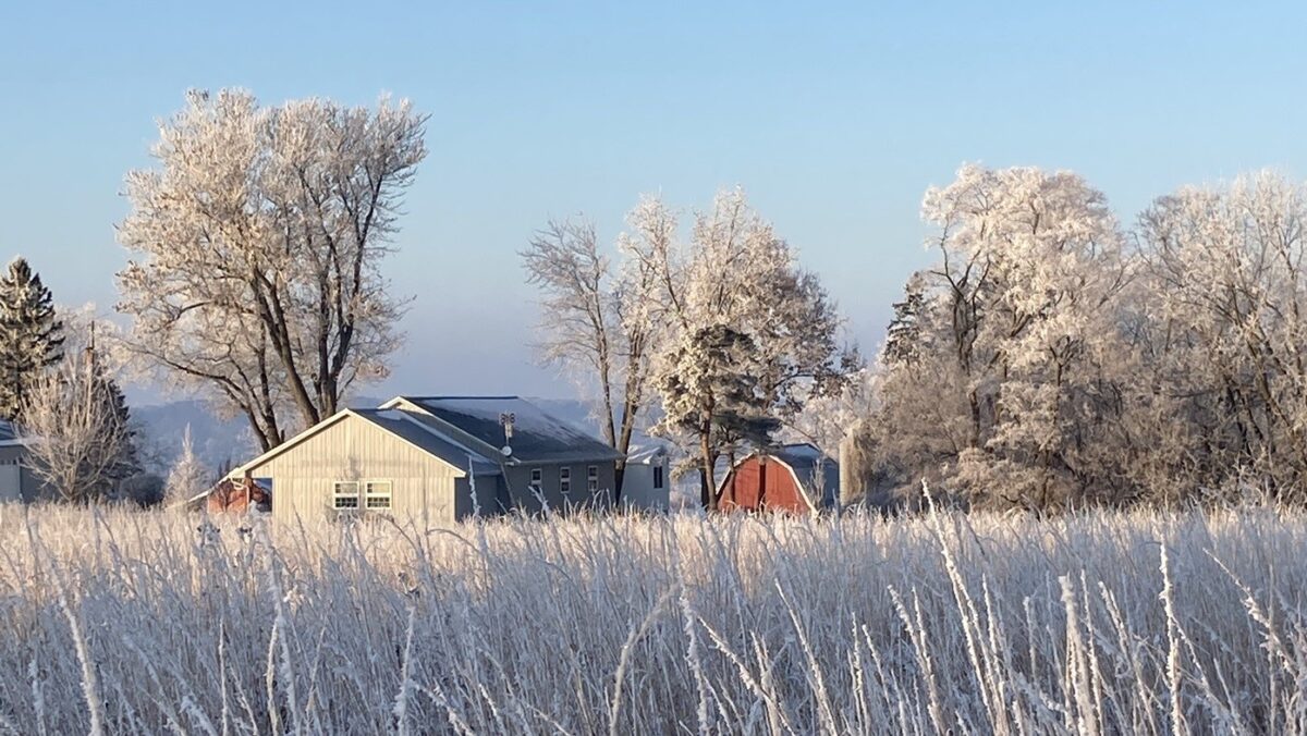 N2095 Twin Bluff Lane, Stockholm WI 54769 - Residential house for sale - MLS #1601781 - image34