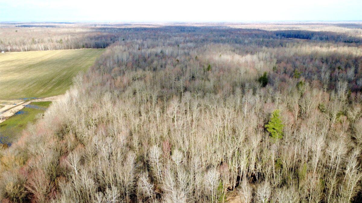 N2615 State Highway 73, Sheldon WI 54766 - Land house for sale - MLS #1600106 - image2
