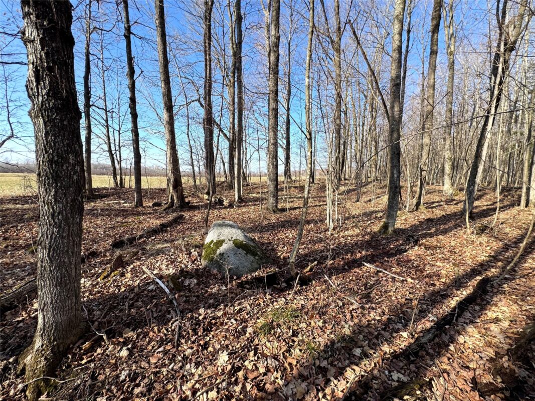 N2615 State Highway 73, Sheldon WI 54766 - Land house for sale - MLS #1600106 - image11