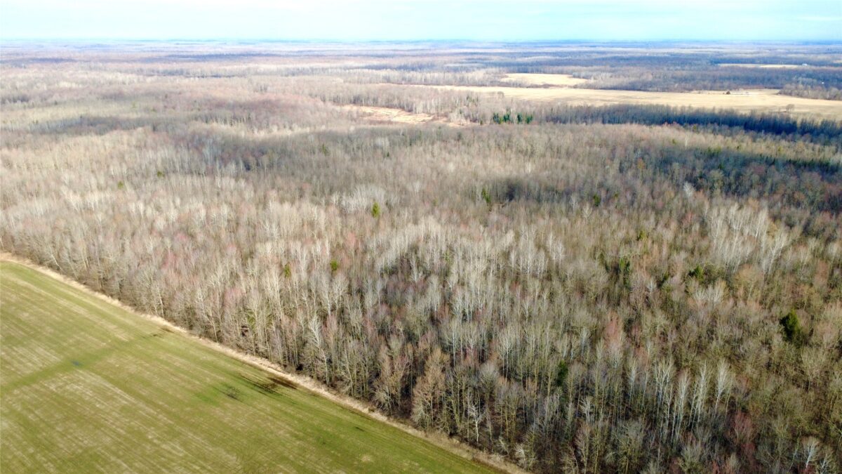 N2615 State Highway 73, Sheldon WI 54766 - Land house for sale - MLS #1600106 - image12