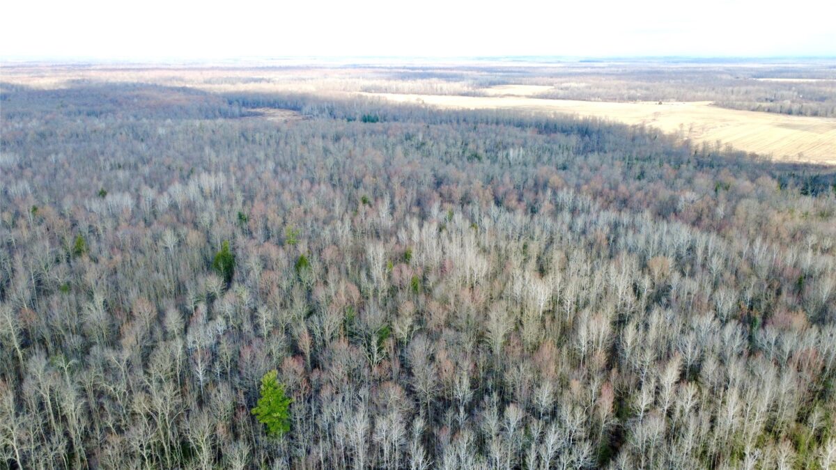 N2615 State Highway 73, Sheldon WI 54766 - Land house for sale - MLS #1600106 - image14