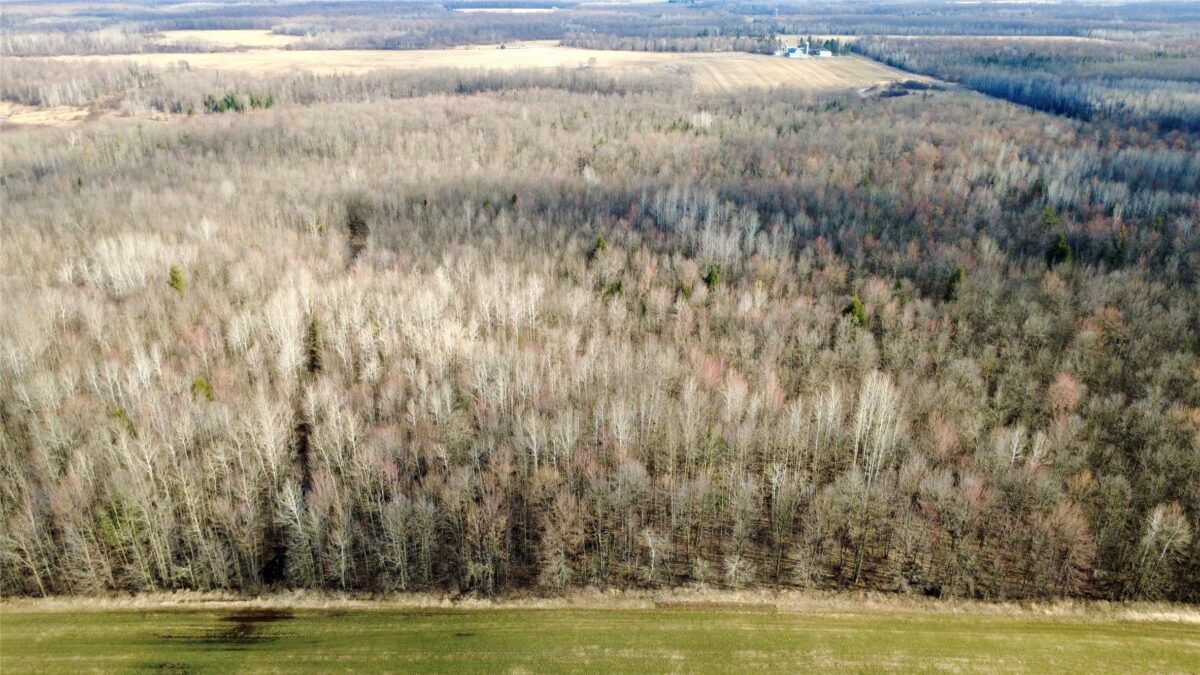 N2615 State Highway 73, Sheldon WI 54766 - Land house for sale - MLS #1600106 - image16