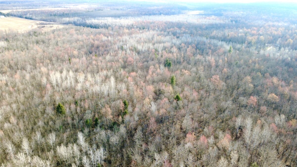 N2615 State Highway 73, Sheldon WI 54766 - Land house for sale - MLS #1600106 - image17