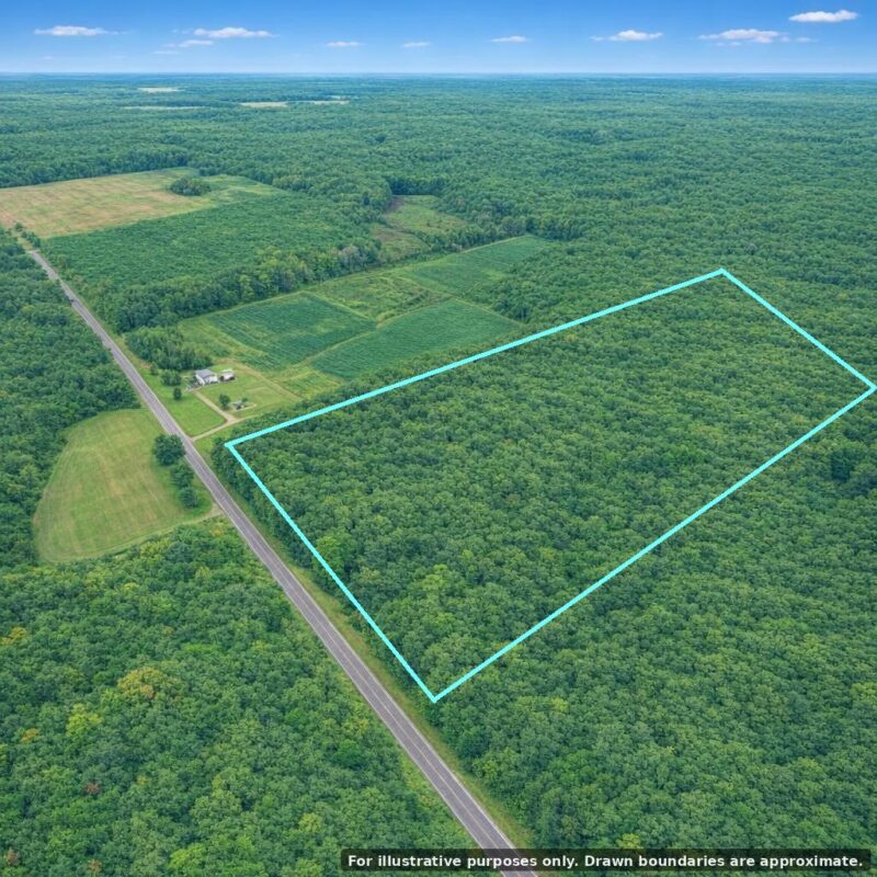 N2615 State Highway 73, Sheldon WI 54766 - Land house for sale - MLS #1600106 - image3
