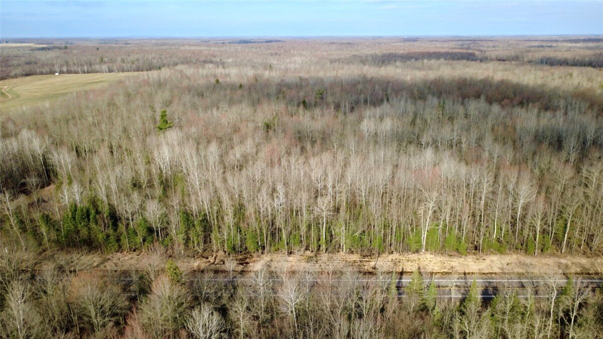 N2615 State Highway 73, Sheldon WI 54766 - Land house for sale - MLS #1600106 - image24