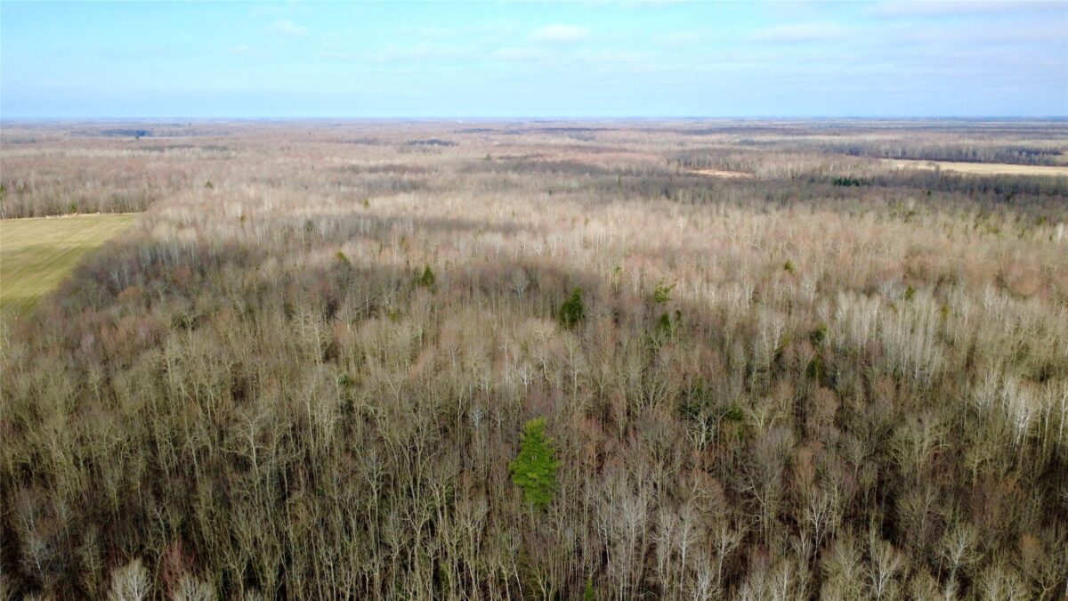 N2615 State Highway 73, Sheldon WI 54766 - Land house for sale - MLS #1600106 - image26
