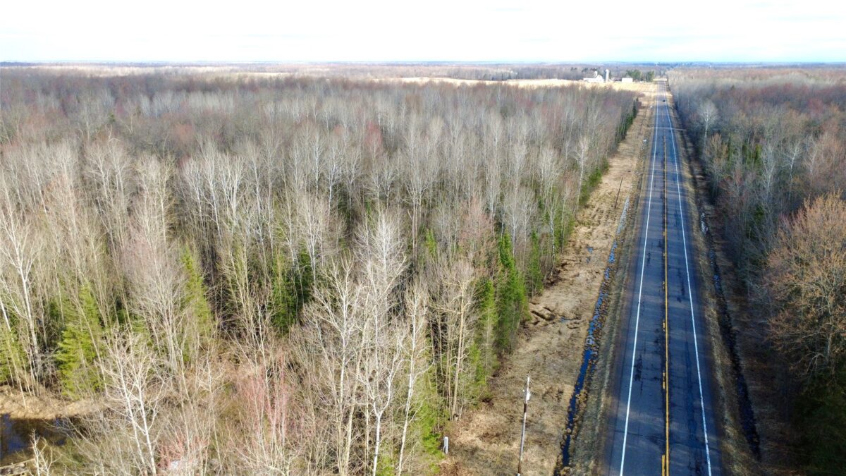 N2615 State Highway 73, Sheldon WI 54766 - Land house for sale - MLS #1600106 - image5