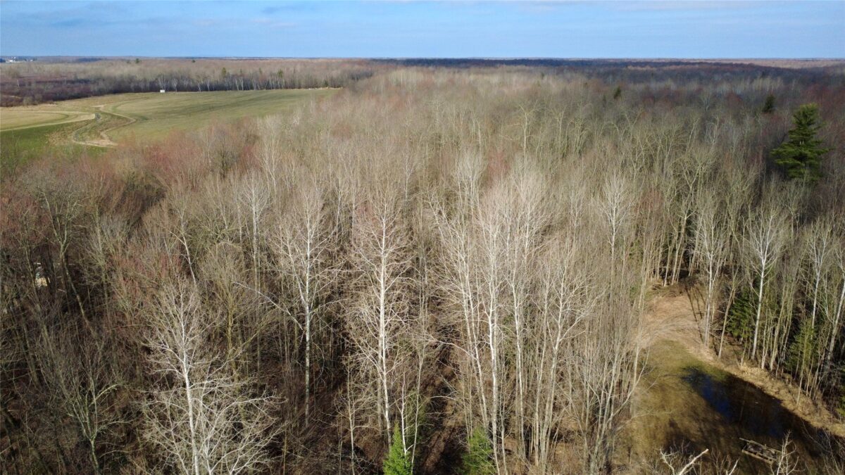 N2615 State Highway 73, Sheldon WI 54766 - Land house for sale - MLS #1600106 - image6
