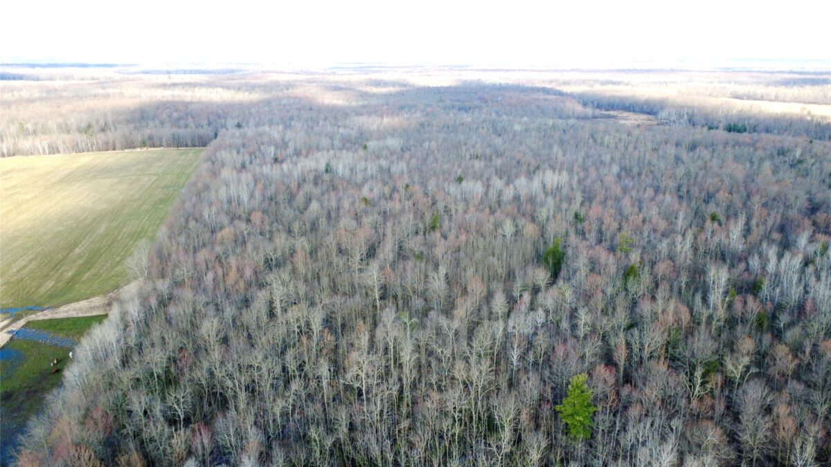 N2615 State Highway 73, Sheldon WI 54766 - Land house for sale - MLS #1600106 - image9