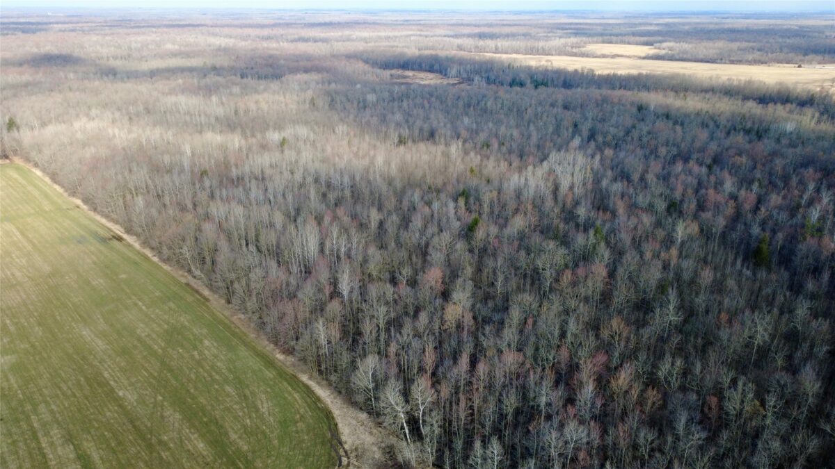 N2615 State Highway 73, Sheldon WI 54766 - Land house for sale - MLS #1600106 - image10