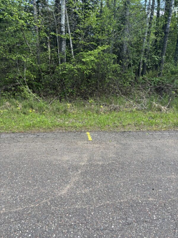 N3860 Kostka Road, Ladysmith WI 54848 - Land house for sale - MLS #1601876 - image3