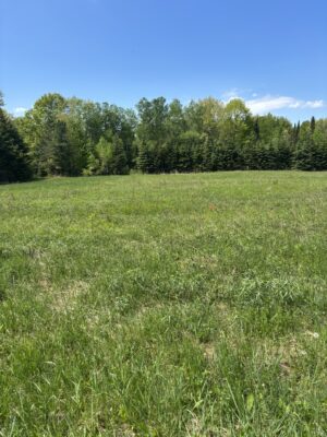 N3860 Kostka Road Ladysmith WI 54848