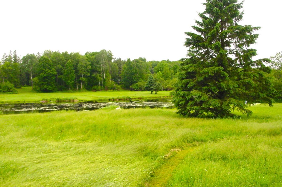 N6659 Kaiser Road, Hawkins WI 54530 - Residential house for sale - MLS #1602187 - image30