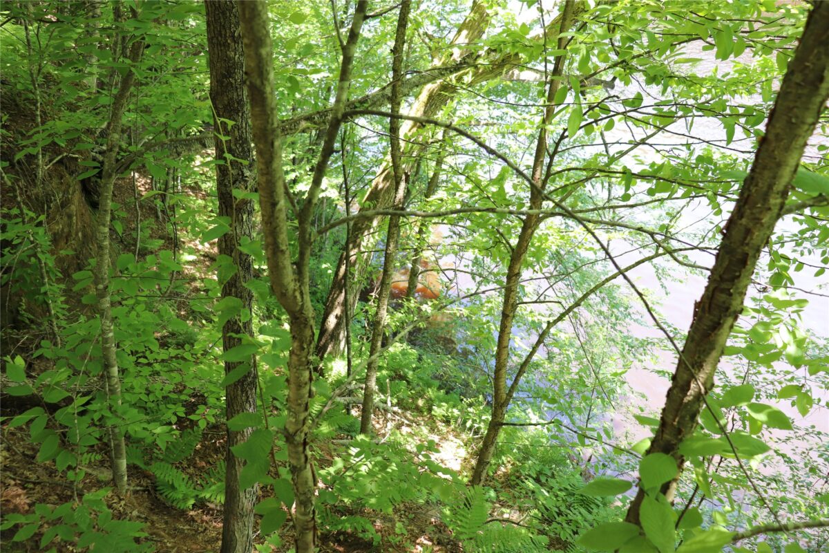 N7280 Waters Edge Road, Black River Falls WI 54615 - Land house for sale - MLS #1601901 - image15