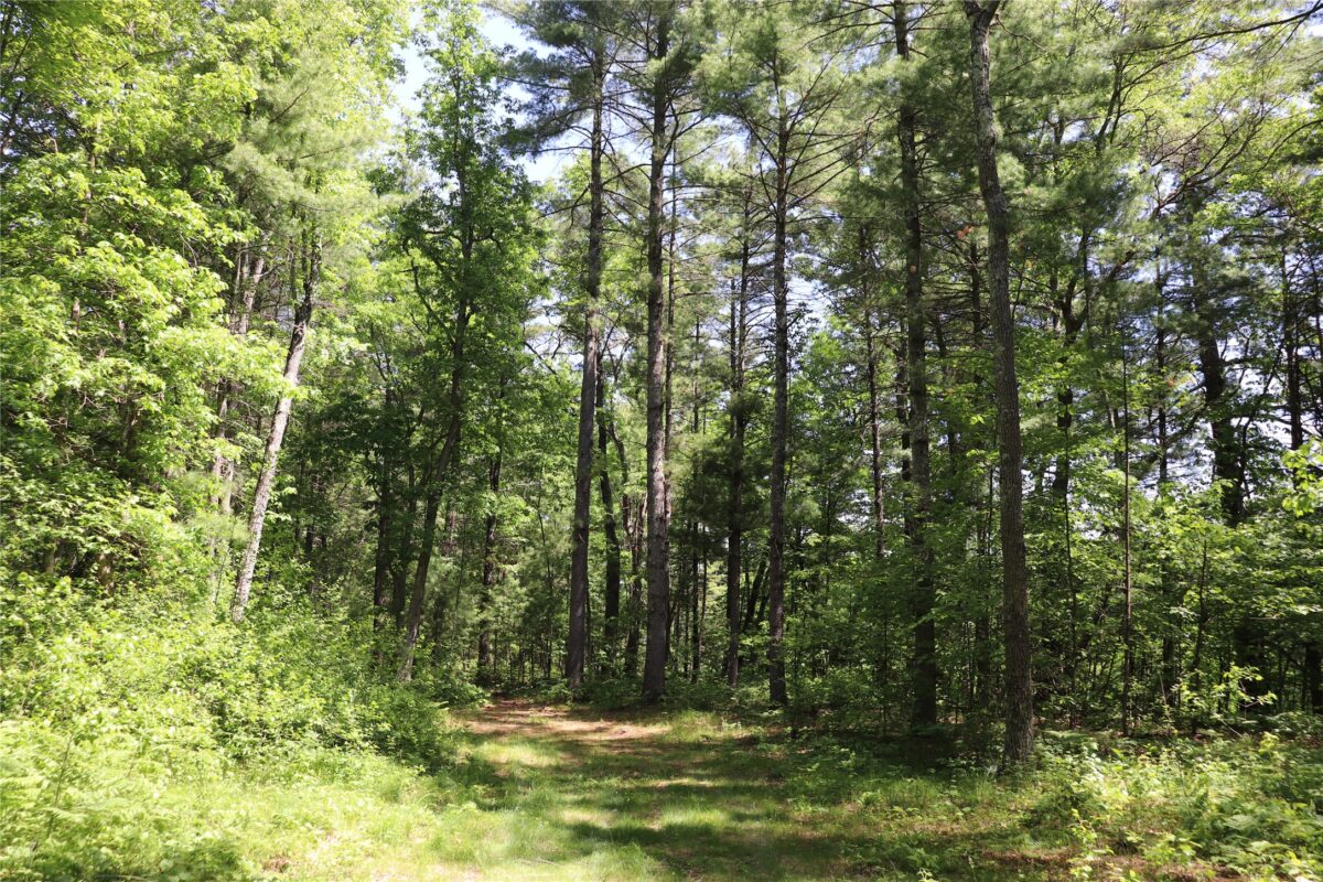N7280 Waters Edge Road, Black River Falls WI 54615 - Residential house for sale - MLS #1601969 - image24