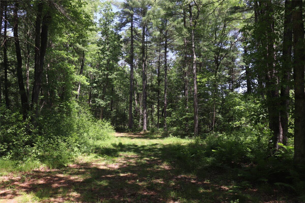 N7280 Waters Edge Road, Black River Falls WI 54615 - Residential house for sale - MLS #1601969 - image32