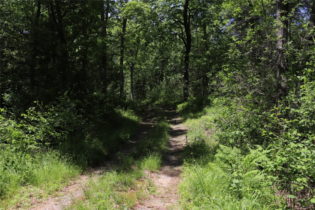 N7280 Waters Edge Road, Black River Falls WI 54615 - Residential house for sale - MLS #1601969 - image35